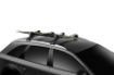 Slika THULE SNOWPACK 2 (2 PAIR) 732200
