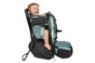 Slika THULE SAPLING CHILD CARRIER - BLACK 3204538