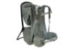 Slika THULE SAPLING CHILD CARRIER - AGAVE 3204539