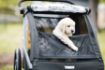 Slika THULE COURIER- DOG KIT