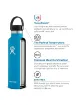 Slika HYDRO FLASK STEKLENICA STANDARD MOUTH FLEX CAP INDIGO 532ml S18SX464