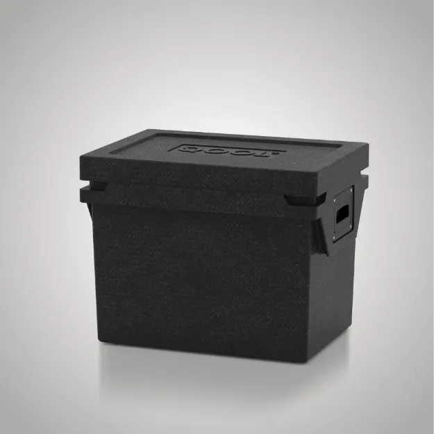 Slika HLADILNA TORBA QOOL BOX L  | ECO+ BC000993